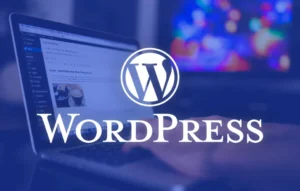 WordPress website builder for blogging, SEO, themes, plugins, and CMS development