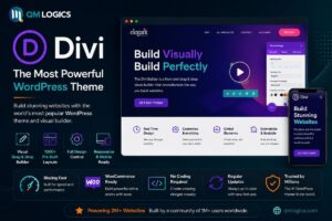 Wordpress eCommerce theme: Divi; the one of the powerful WordPress Theme